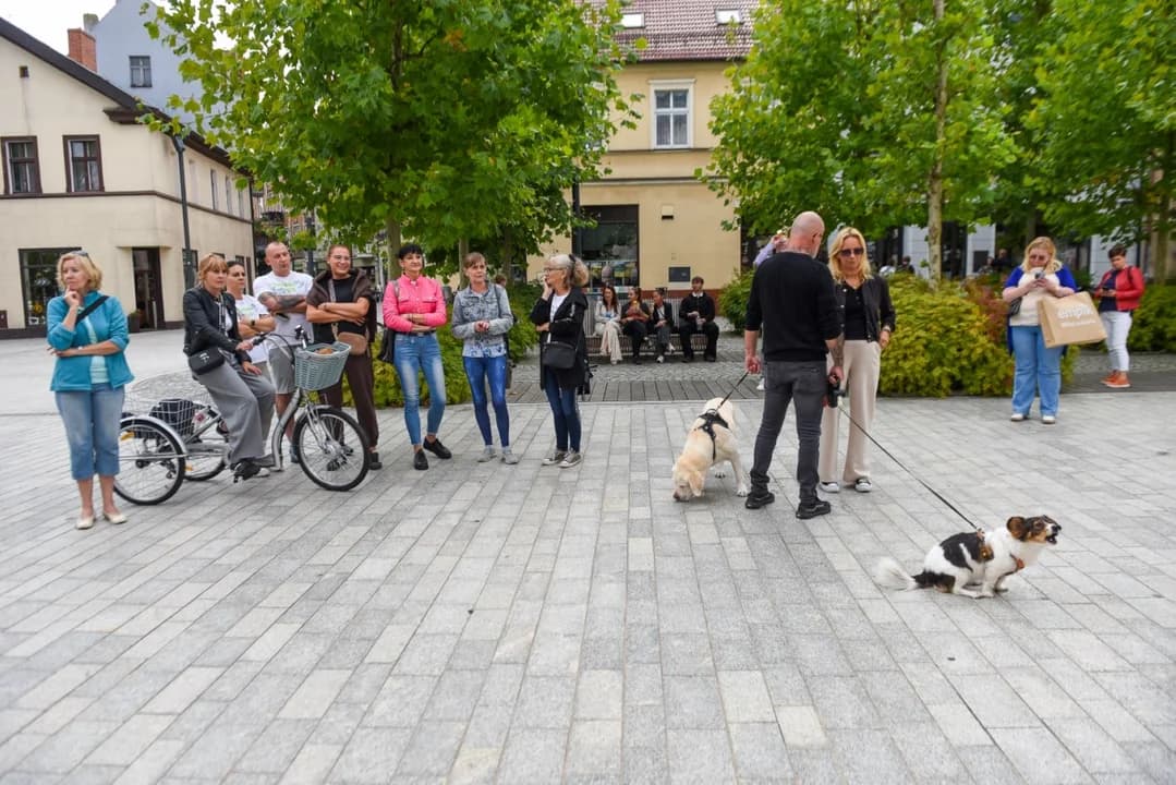 Niektórzy na pikietę w obronie schronika przybyli ze swoimi psami.