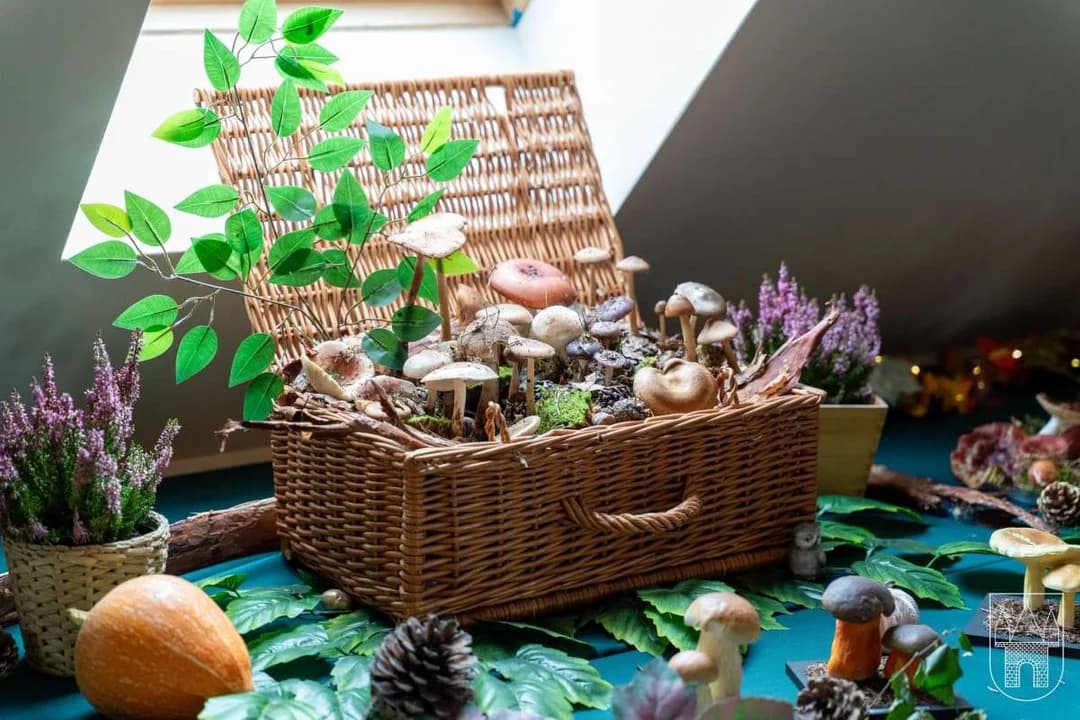 Wystawa grzybów w jarocińskim sanepidzie — zdjęcie 6 z 21