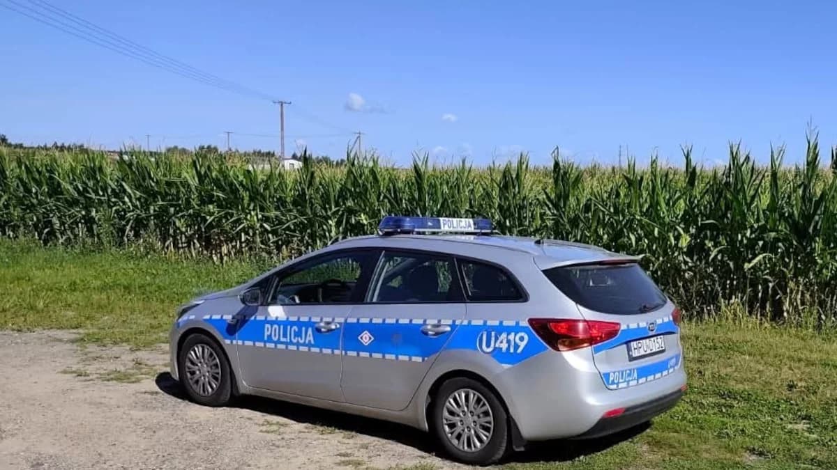 Nie jest to żart, lecz przestępstwo. Śruby w kukurydzy mogą doprowadzić do tragedii