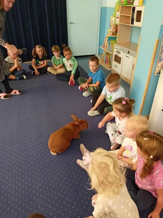 Światowy Dzień Zwierząt w Mieszkowie — zdjęcie 4 z 109