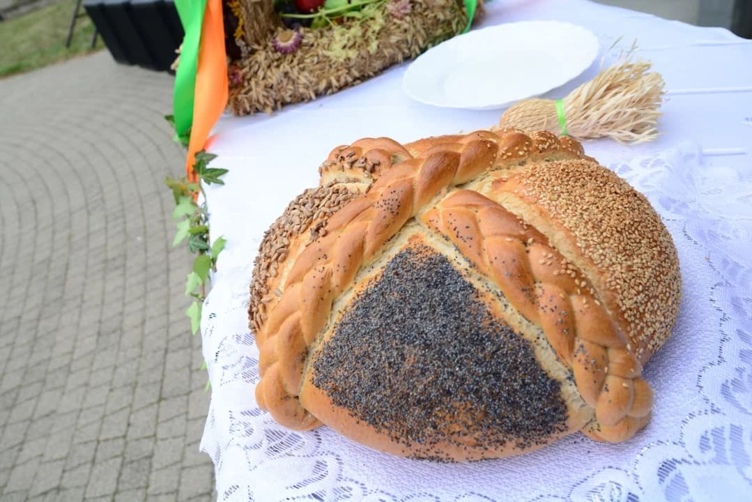 W Łuszczanowie dziękują za plony. Festyn z zabawą taneczną i koncertami [ZDJĘCIA] — zdjęcie 5 z 58
