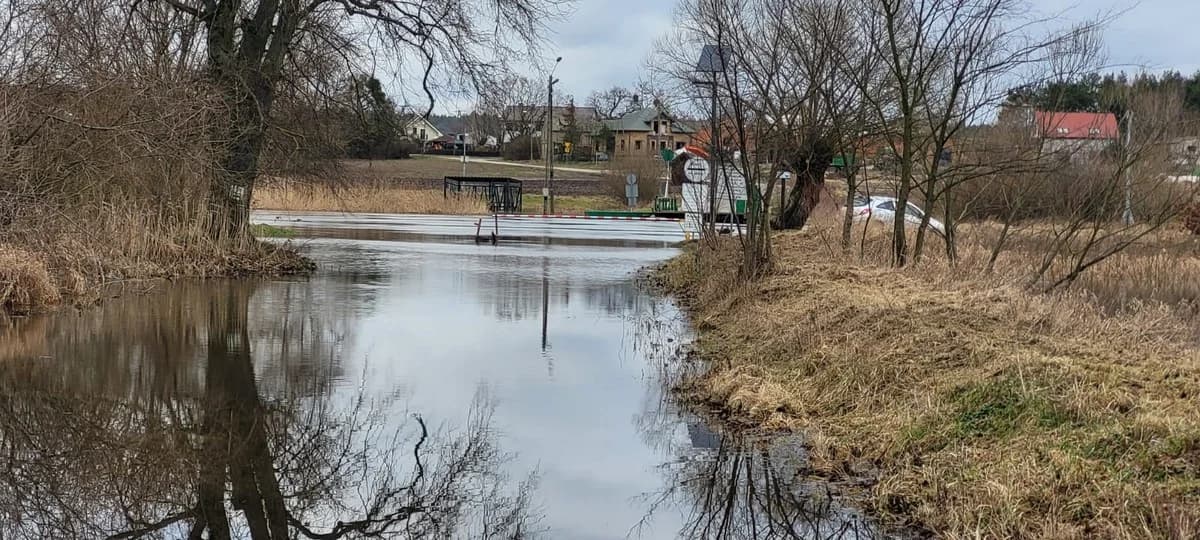 Wysoki poziom wody w Warcie, Prośnie i Lutyni. Czy grozi nam powódź? [ZDJĘCIA]