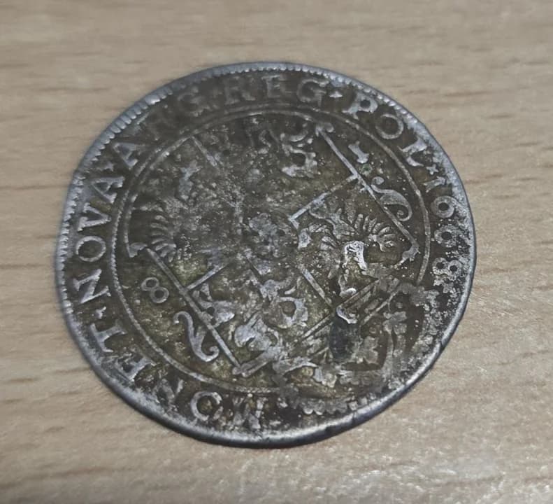 Co za odkrycie! Złote i srebrne monety znalezione w lesie między Jarocinem a Jaraczewem  [ZDJĘCIA] — zdjęcie 2 z 10