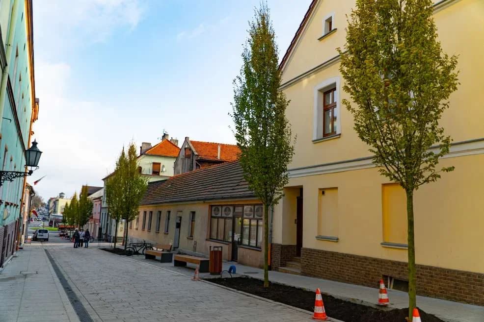 Czyszczenie rynien w jarocińskich kamienicach — zdjęcie 1 z 3