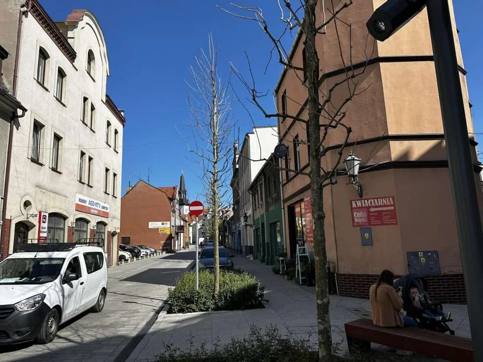 Niektóre platany w centrum Jarocina nie wypuściły jeszcze liści. Mieszkańcy są zaniepokojeni [ZDJĘCIA]