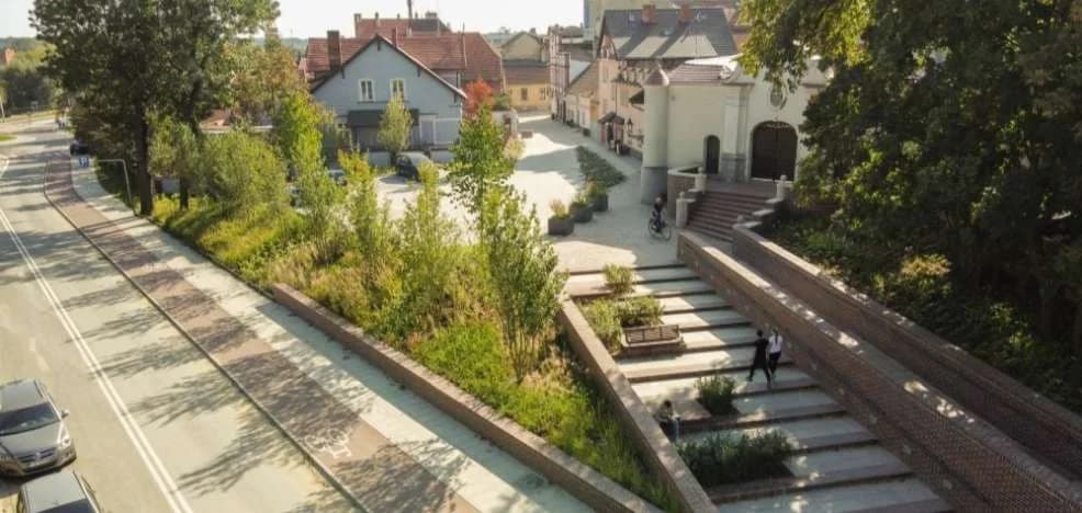 Przetarg na utrzymanie i pielęgnację zieleni w części śródmieścia Jarocina — zdjęcie 5 z 10
