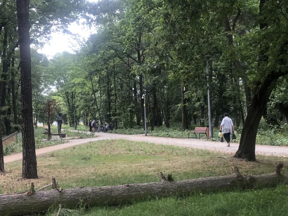 Czy będzie toaleta w parku przy ul. Szubianki w Jarocinie? Znamy odpowiedź na to pytanie
