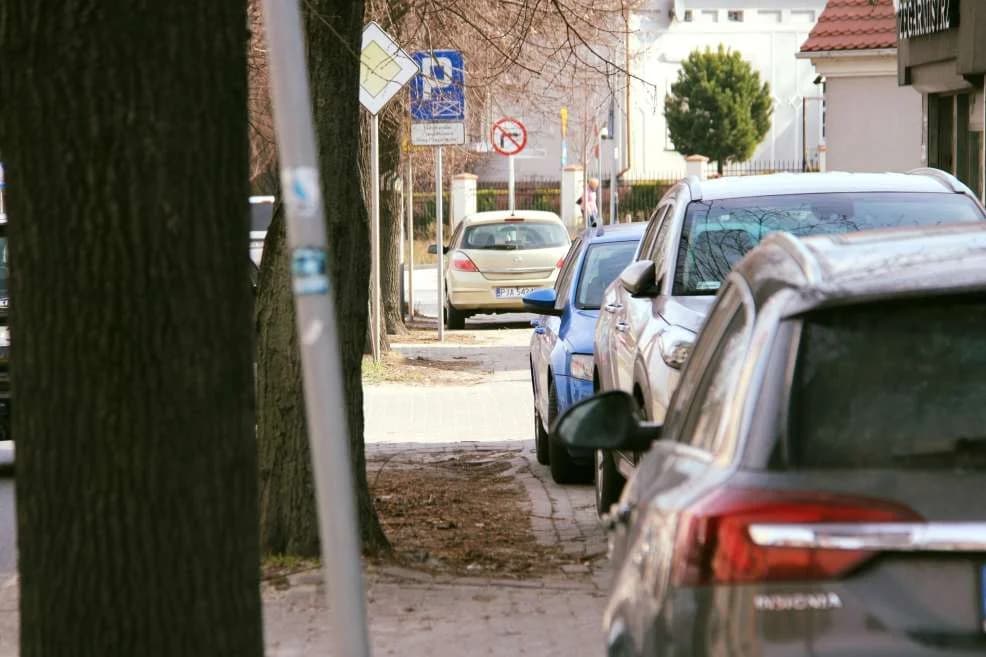 Drogowcy zabiorą się za al. Niepodległości. Co i gdzie będzie zrobione? [ZDJĘCIA]