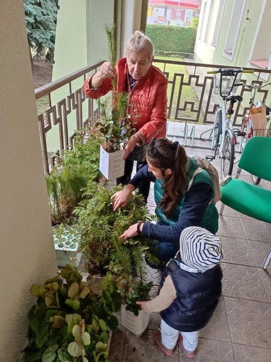 Nadleśnictwo Jarocin będzie rozdawało sadzonki — zdjęcie 4 z 28