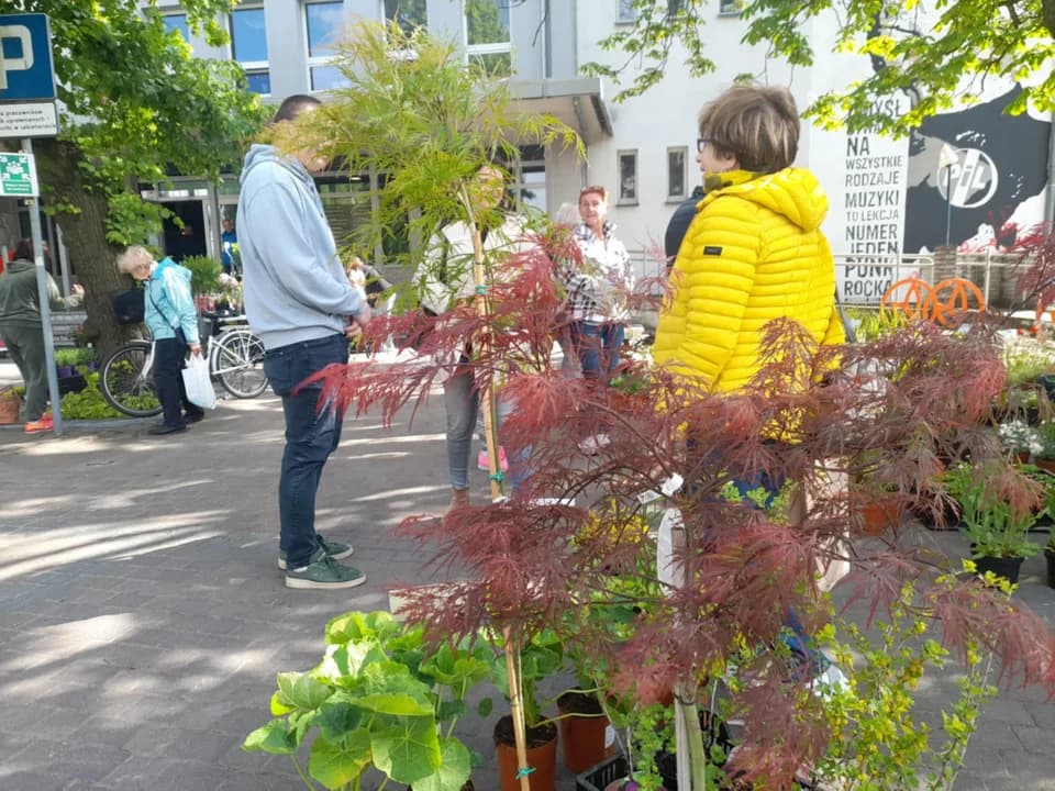 W Jarocińskim Ośrodku Kultury trwa Wiosenny Kiermasz Ogrodniczy [ZDJĘCIA] — zdjęcie 3 z 88