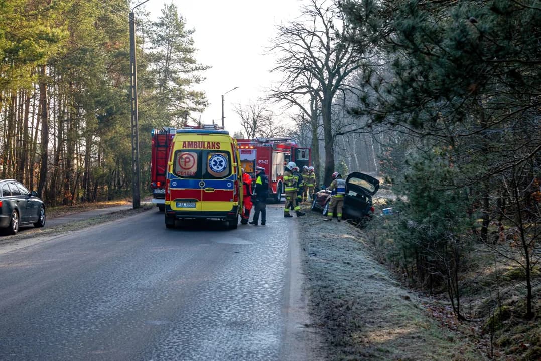 BMW uderzyła w drzewo w Wilkowyi