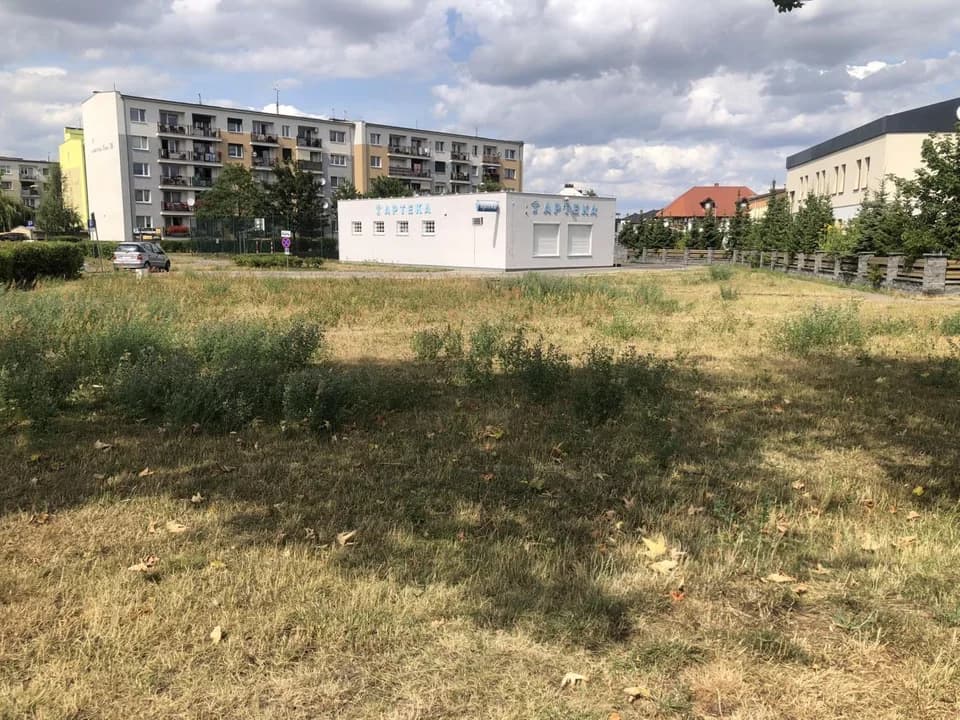 W Jarocinie powstanie wybieg dla psów. Nawet dwa na jednym osiedlu — zdjęcie 4 z 21