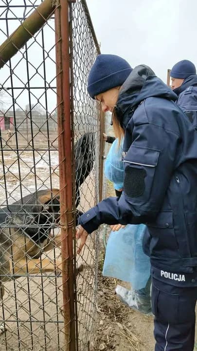 Jarocińscy policjanci skontrolowali schronisko dla zwierząt w Radlinie. Co stwierdzili? [ZDJĘCIA, SONDA] — zdjęcie 5 z 11