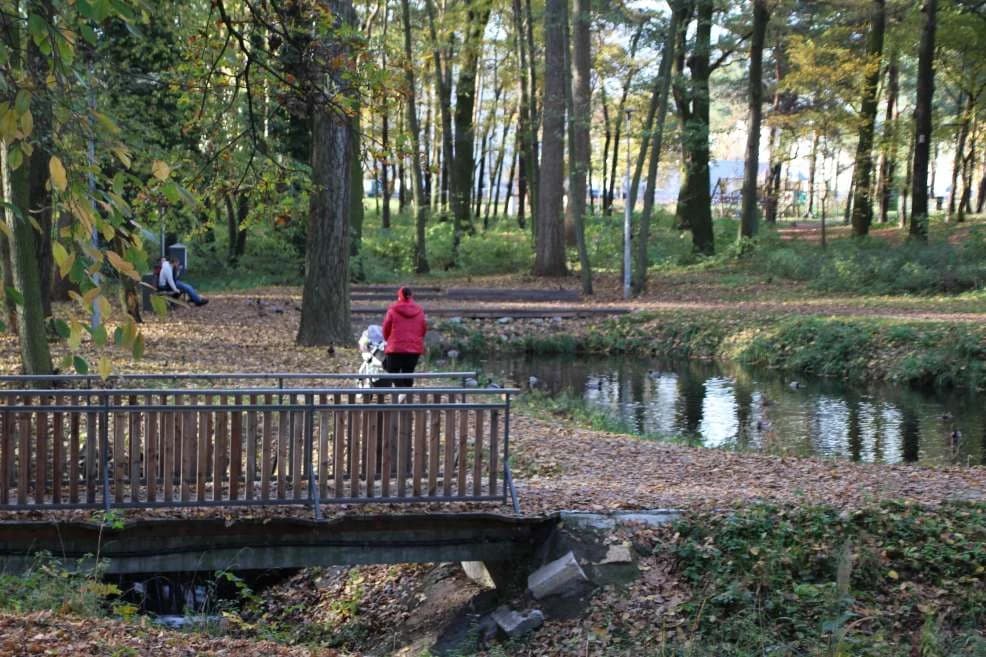 Lasek Szubianki w Jarocinie został wyróżniony przez Towarzystwo Urbanistów Polskich [ZDJĘCIA]