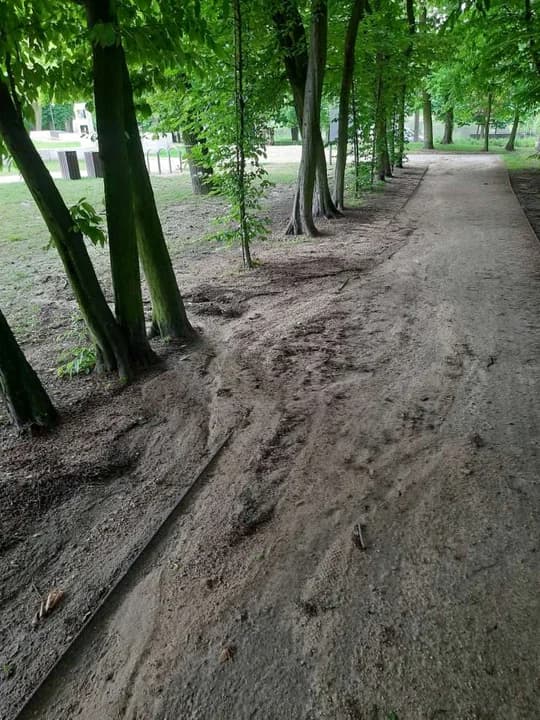 Zniszczone alejki w paku Radolińskich w Jarocinie — zdjęcie 2 z 6