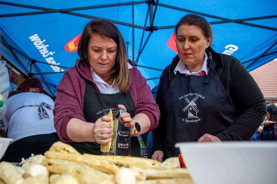 Wielkie tarcie chrzanu w Chrzanie. Przy tarkach stanęło blisko 100 KGW z całej Wielkopolski  [ZDJĘCIA, AKTUALIZACJA]