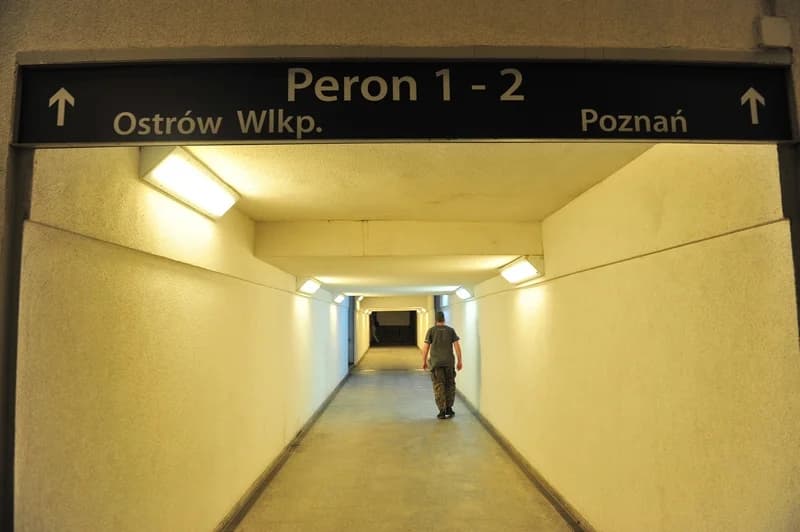 PKP Intercity zapowiada nowe połączenia. Nie uwierzycie, jak szybko pokonacie te trasy — zdjęcie 5 z 51
