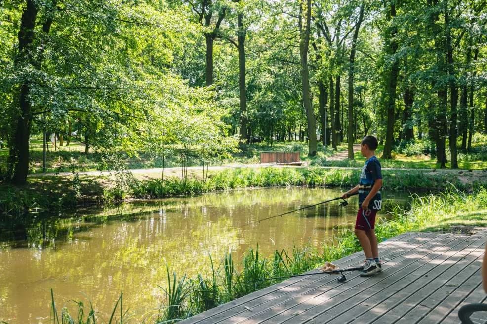 Lasek Szubianki w Jarocinie wyrózniony w konkursie Towarzystwa Urbanistów Polskich — zdjęcie 5 z 26