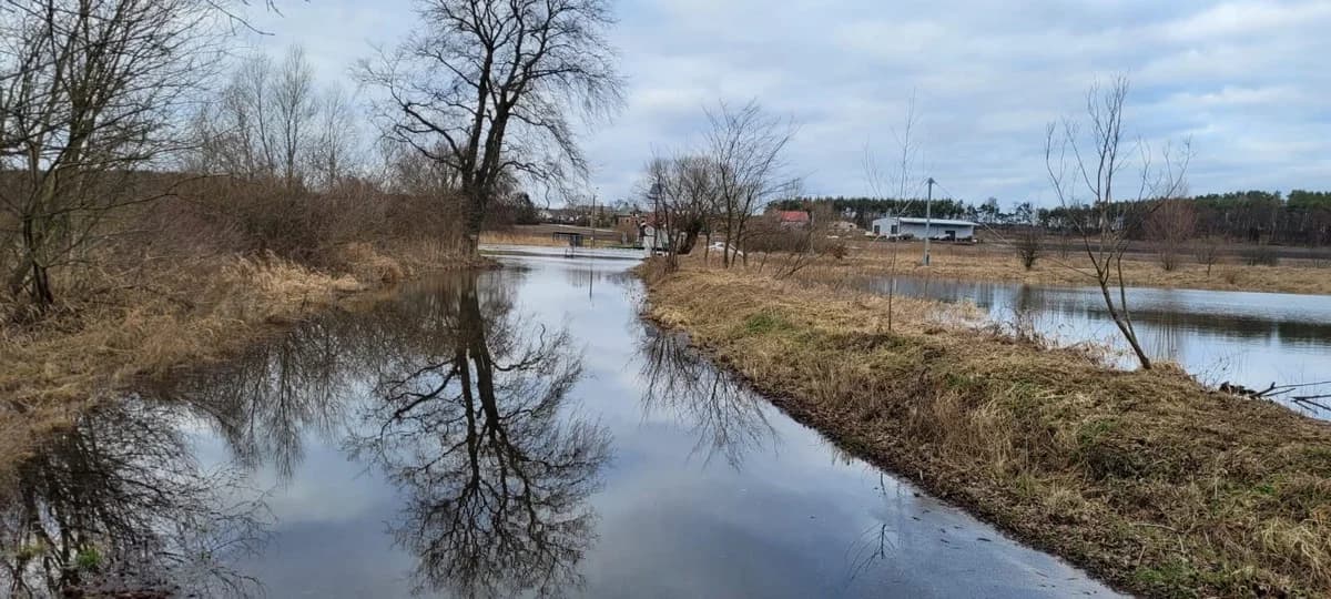 Okolice przeprawy promowej na Warcie w Pogorzelicy (gm. Żerków) — zdjęcie 6 z 18