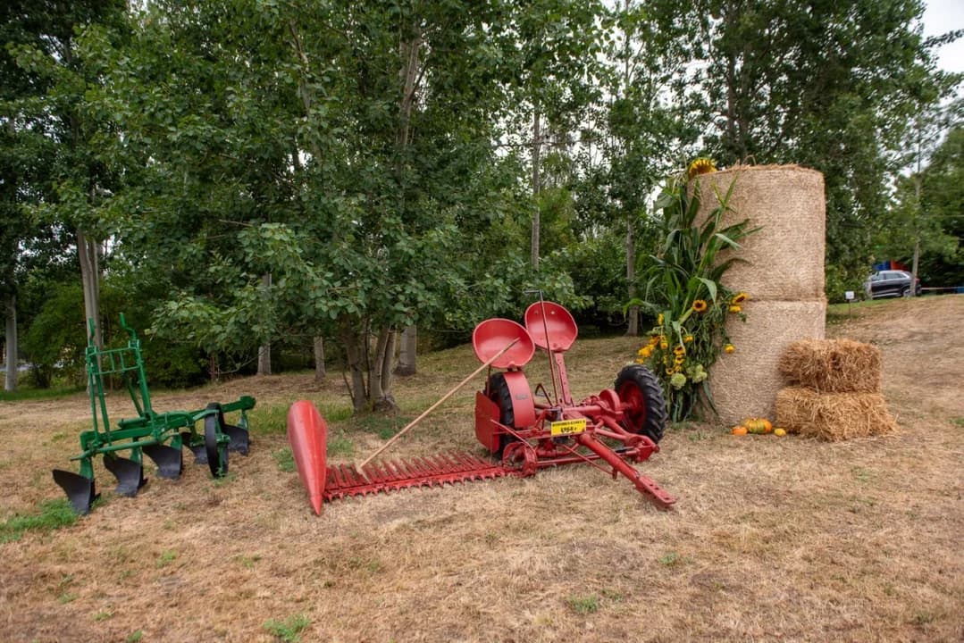 Mieszkańcy Cielczy dziękowali za zebrane plony. Dożynki zakończyła zabawa taneczna [ZDJĘCIA] — zdjęcie 2 z 100
