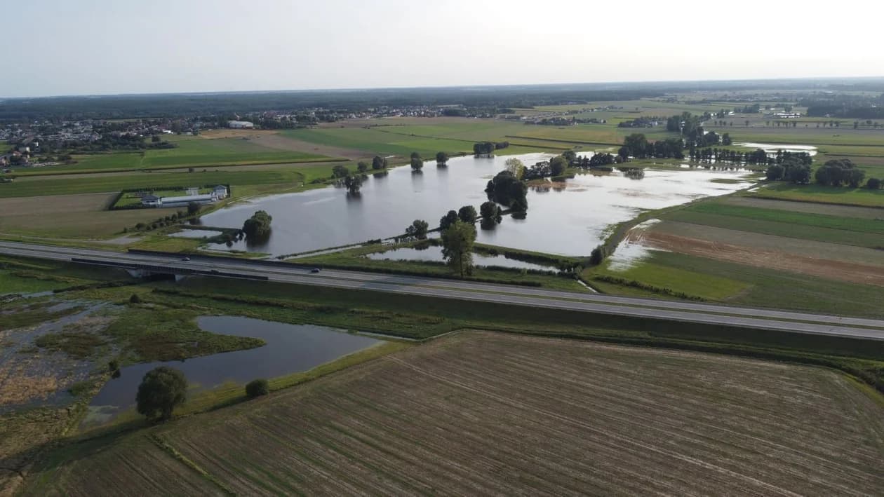 Rolnicy z gminy Jarocin pokazują podtopione pola i łąki.  Kto jest winień? Gospodarze mają swoje podejrzenia — zdjęcie 2 z 68