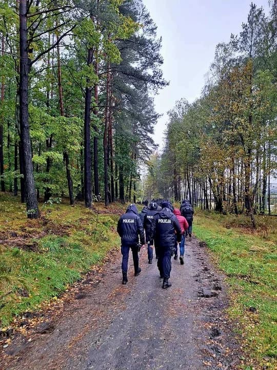 Przeszukiwania podejrzanego prowadzone są m.in. w lesie.