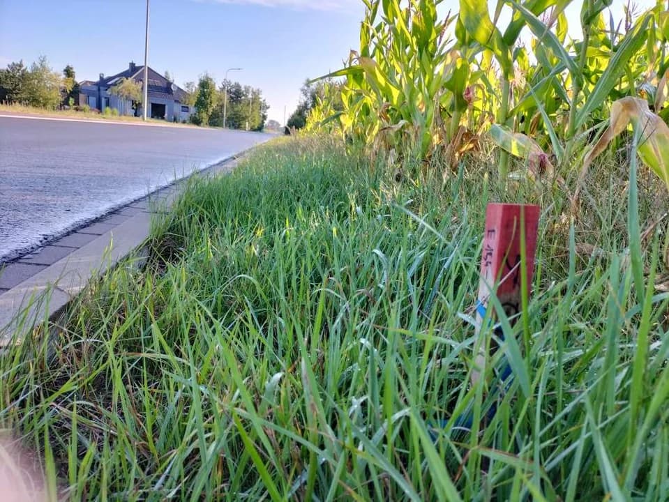 Wkopują słupki pod szybką kolej na naszym terenie. CPK prowadzi prace w powiecie jarocińskim [ZDJĘCIA]