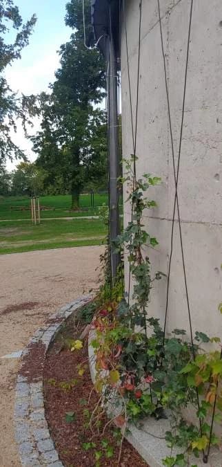 Park w Jaraczewie wygrał konkurs za rewitalizację. Nagrodę przyznało Towarzystwo Urbanistów Polskich