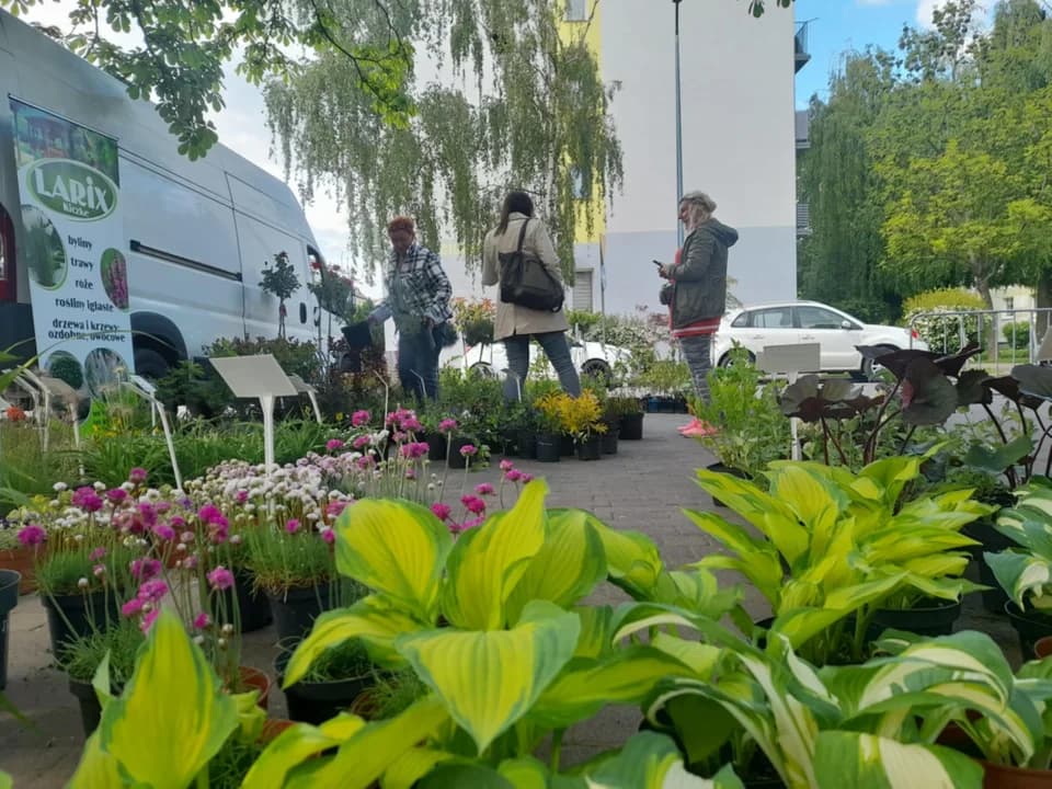 W Jarocińskim Ośrodku Kultury trwa Wiosenny Kiermasz Ogrodniczy [ZDJĘCIA] — zdjęcie 5 z 88