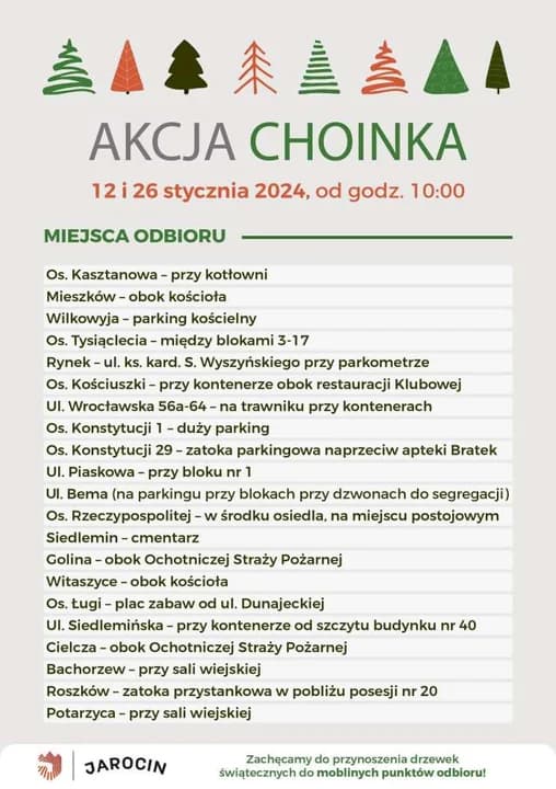 Akcja Choinka w gminie Jarocin — zdjęcie 3 z 5