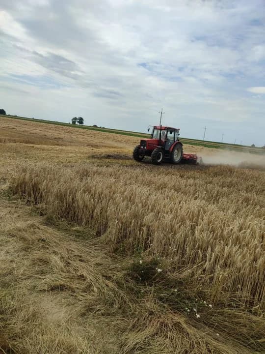 Pożar ścierniska w Łobzowcu