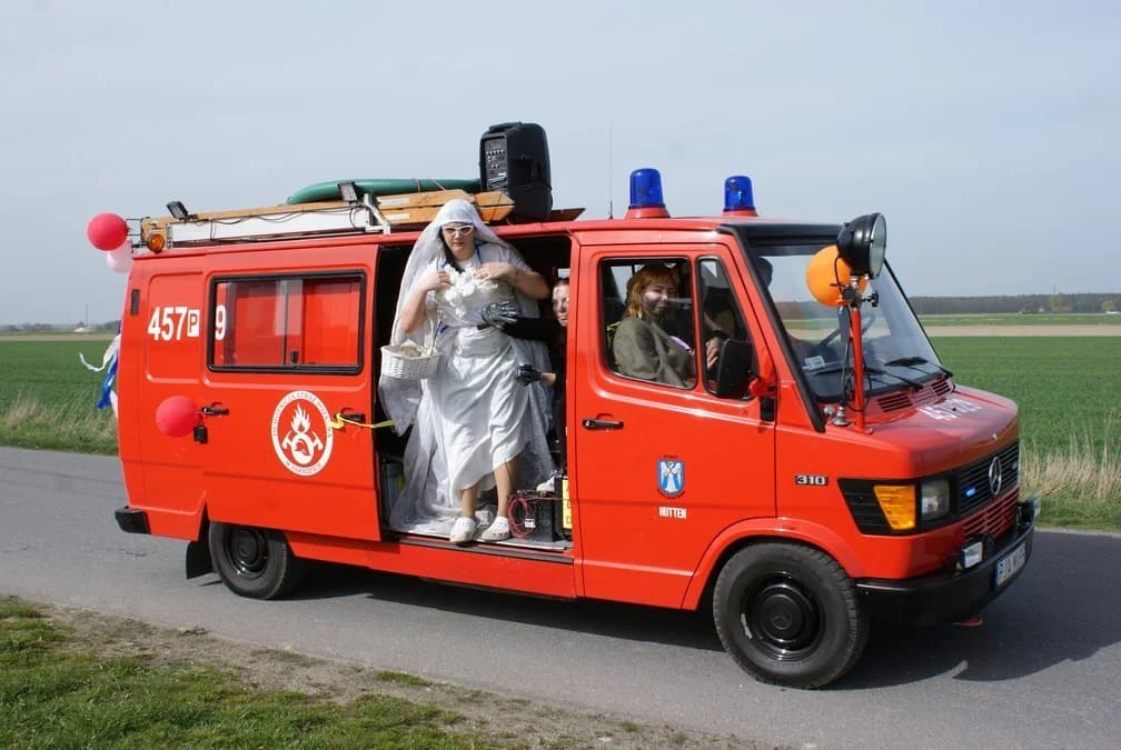 "Niedźwiedzie Wielkanocne". Jury wybrało 20 najciekawszych zdjęć. Teraz wszystko zależy od WAS [GŁOSOWANIE]