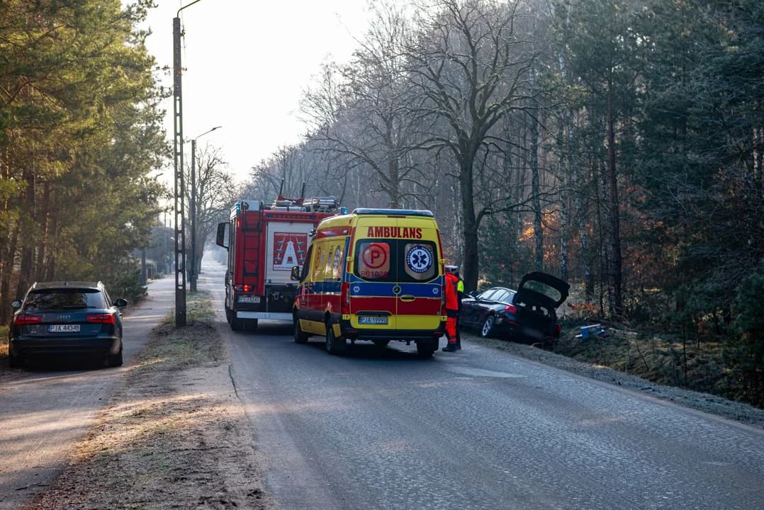 BMW uderzyła w drzewo w Wilkowyi