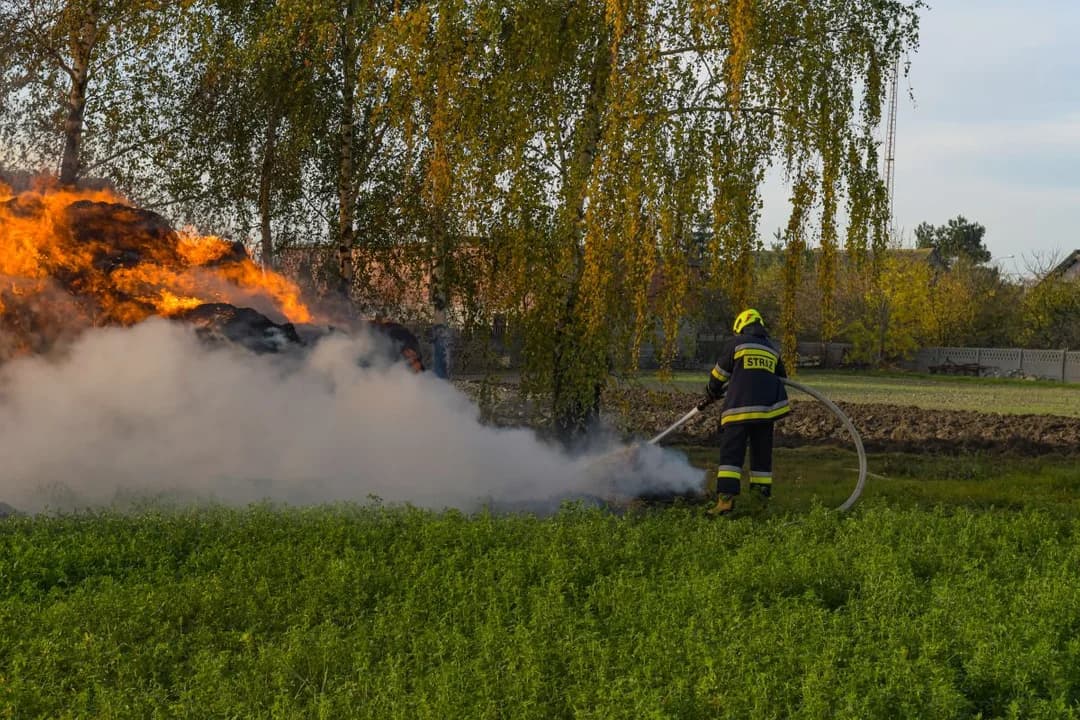 Sąd Rejonowy w Jarocinie postanowił, że mężczyzna trzy najbliższe miesiące spędzi w areszcie — zdjęcie 5 z 19