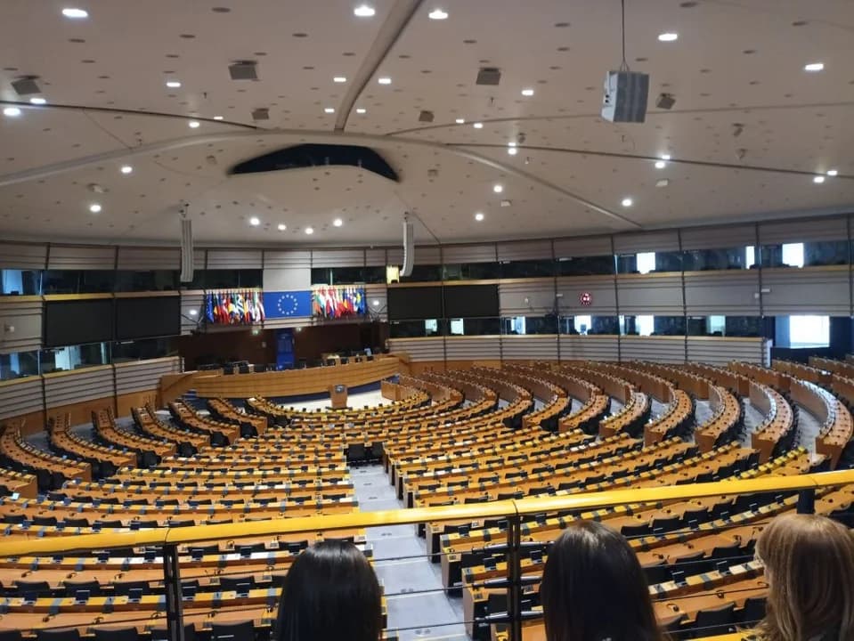 Przedstawicielki gminy Jarocin w Parlamencie Europejskim