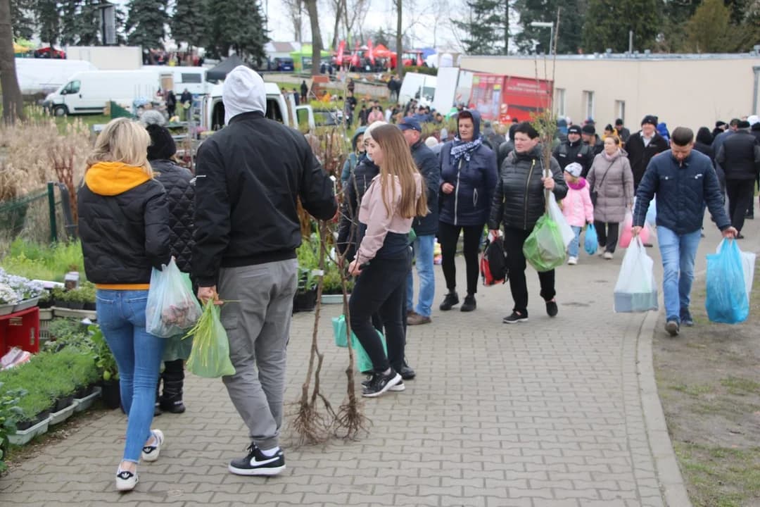 AGROMARSZ 2025. Co czeka na odwiedzających wiosenne targi w Marszewie? — zdjęcie 2 z 137