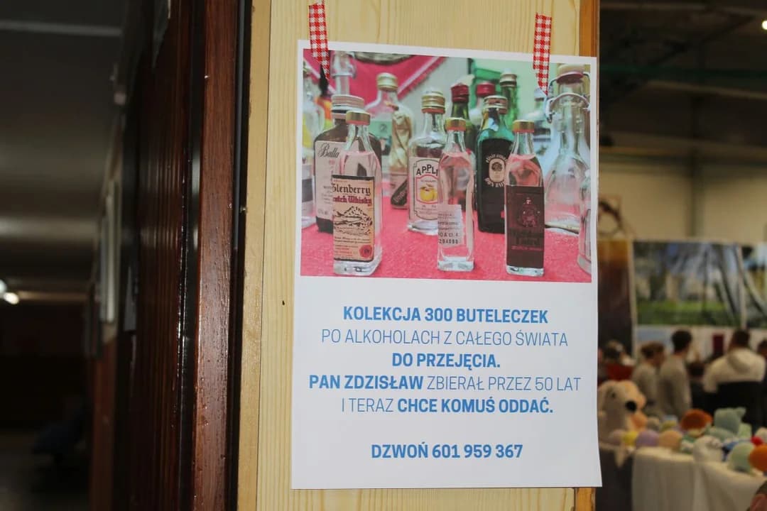 II Jarociński Dzień Pasjonata i Kolekcjonera w Liceum Ogólnokształcącym w Jarocinie — zdjęcie 6 z 102