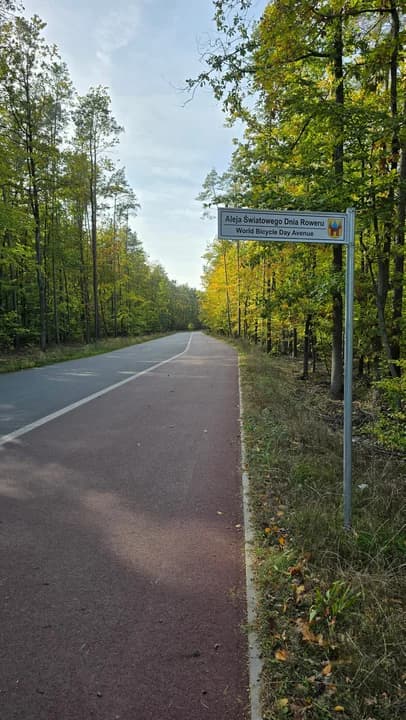 Wyprawę zaczynamy na Rynku w Jarocinie, z którego kierujemy się do Parku Radolińskich, a dalej - przecinając ul. Maratońską - docieramy do Alei Światowego Dnia Roweru i dalej do Wilkowyi - do Młyna nad Lutynią.