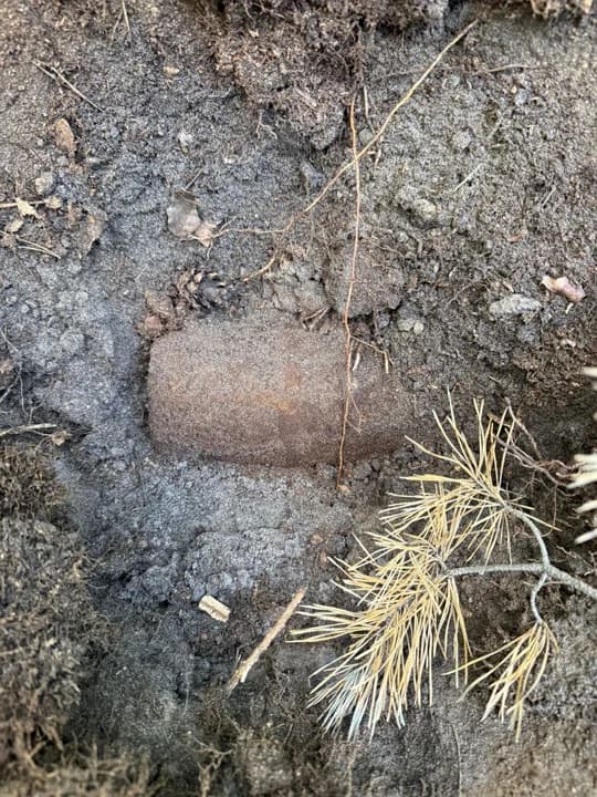Groźne znalezisko w lesie. Poszukiwacze trafili na niewypały z II wojny światowej — zdjęcie 5 z 7