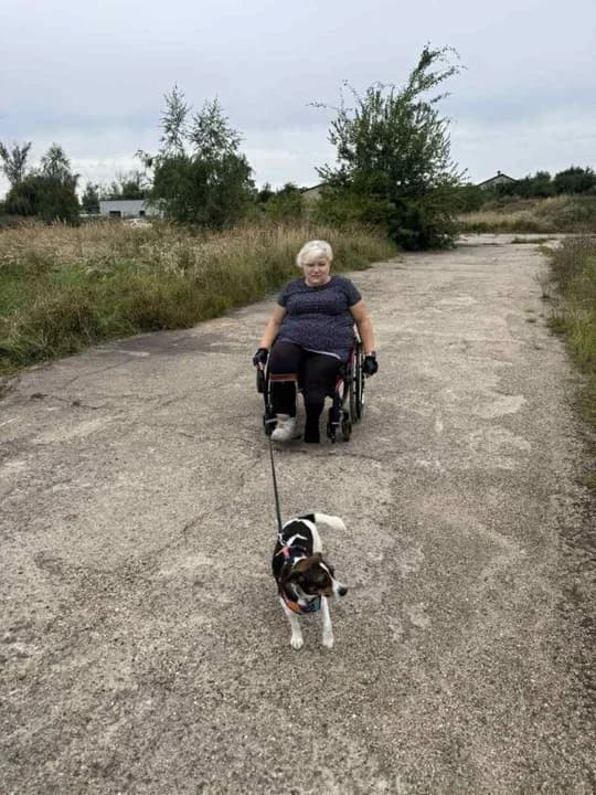 Florka zamieniła boks w schronisku na mieszkanie w Poznaniu. Nie przeszkadza nawet to, że jej pani jeździ na wózku — zdjęcie 3 z 11