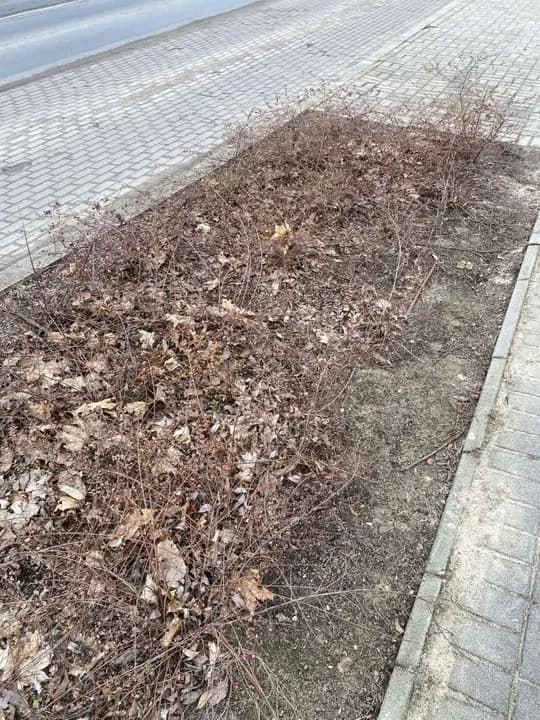 Utrzymanie porządku na terenie Jarocina — zdjęcie 2 z 22