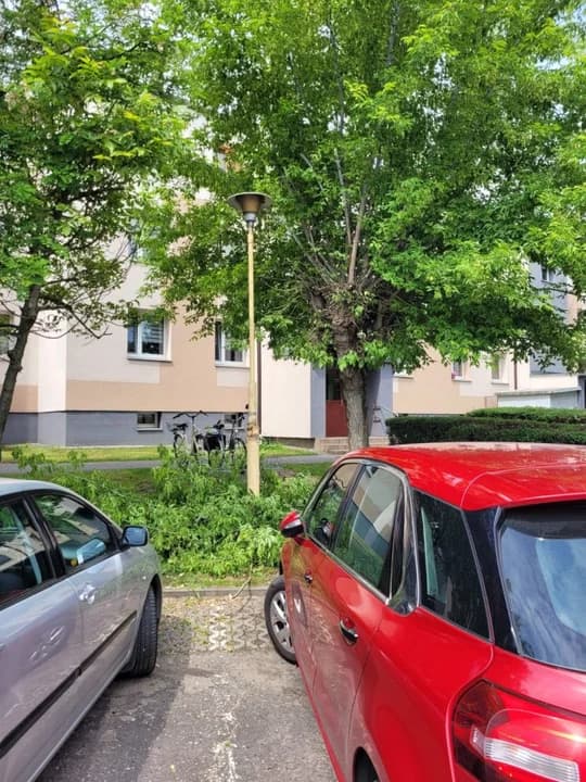 Zarośnięte lampy w centrum Jarocina. Jest reakcja spółdzielni mieszkaniowej — zdjęcie 3 z 4