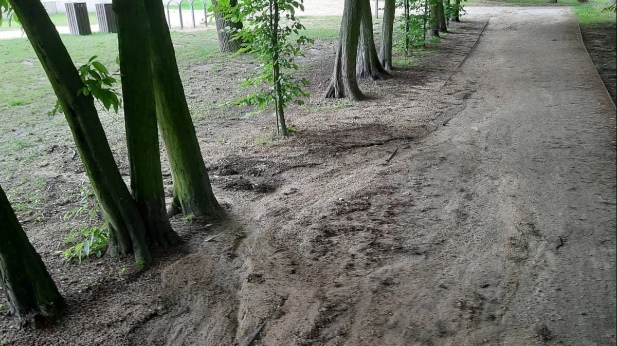 Alejkami płynęły potoki wody - ulewa dokonała szkód w parku Radolińskich w Jarocinie [ZDJĘCIA]