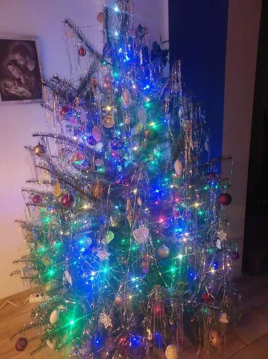 Choinki mieszkańców Jarocina i okolic. WYBIERZCIE najpiękniejszą! [ZDJĘCIA] — zdjęcie 4 z 52