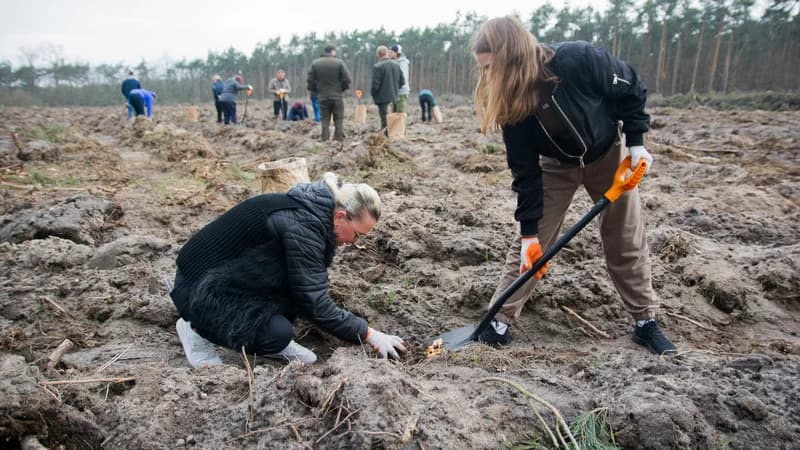 Redakcja Gazety Jarocińskiej i portalu jarocinska.pl oraz wolontariusze Fundacji Ogród Marzeń sadzili las