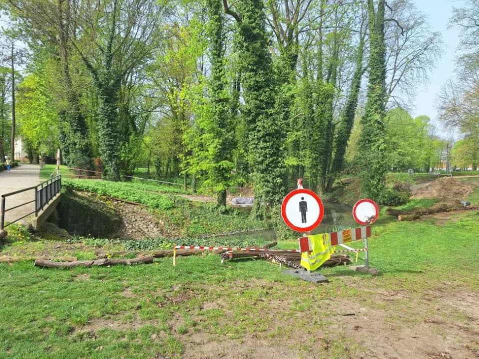 Trwa budowa kładek w parku Radolińskich w Jarocinie — zdjęcie 4 z 8