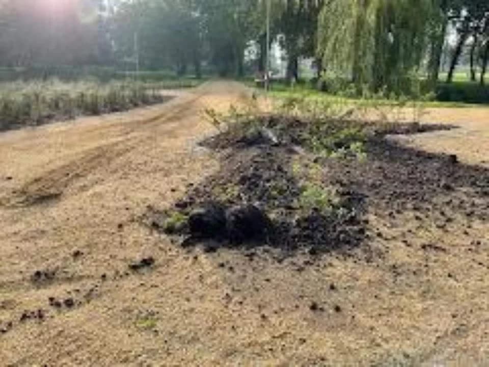 Policja ustaliła sprawcę zniszczenia parku w Jaraczewie
