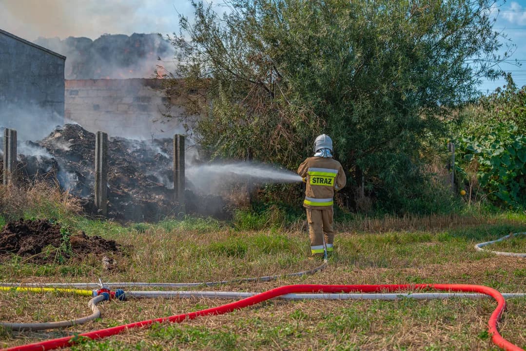 14-godzinna akcja i powrót na miejsce zdarzenia. Strażacy podsumowują walkę z dużym pożarem w Jarocinie — zdjęcie 5 z 87