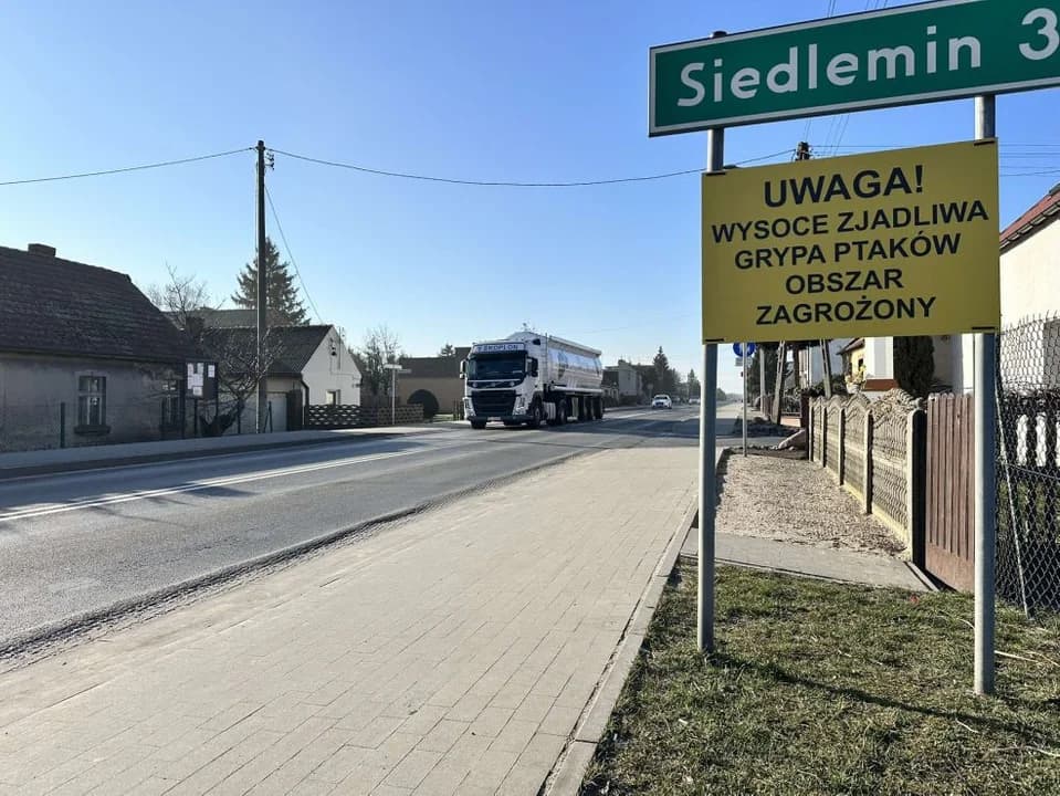 Podejrzenie ptasiej grypy w gminie Jarocin — zdjęcie 2 z 7