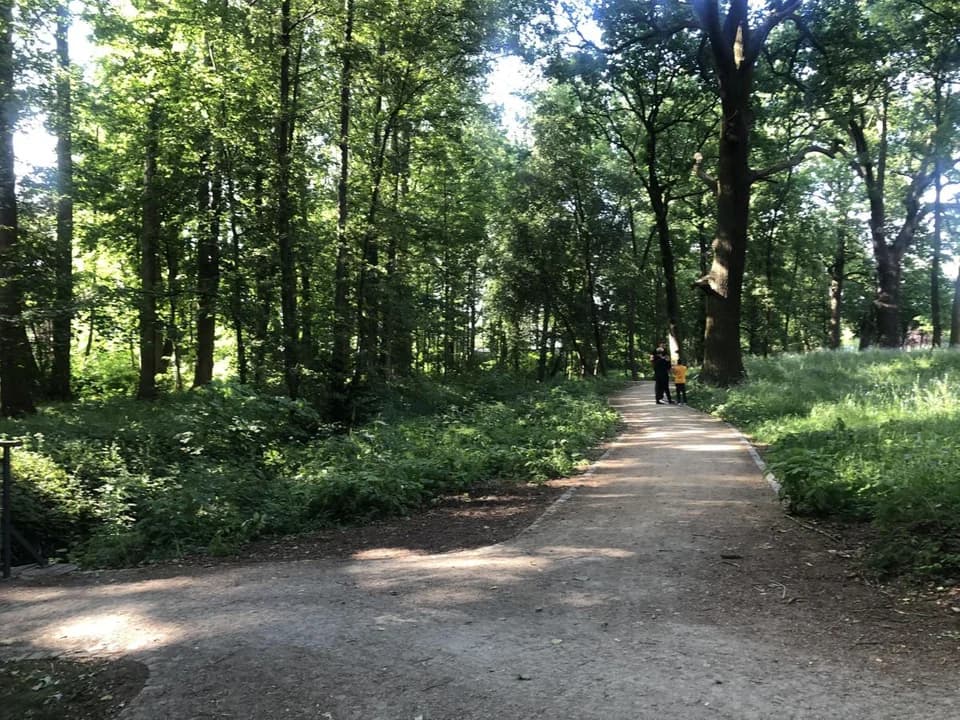 Park przy ulicy Szubianki w Jarocinie zyskał oficjalną nazwę. Mieszkańcy wybrali, a radni zaakceptowali [ZDJĘCIA]